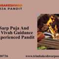 Kaal Sarp Puja And Kumbh Vivah Guidance From Experienced Pandit