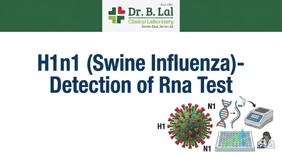 Lucknow, Health & Beauty Items, INR 4500,  H1N1 & H3N2 Influenza Detection Test | Identify Dangerous Subtypes | Dr. B. Lal Lab Agra