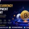 Turn Crypto Ideas Into Scalable Digital Solutions With Cryptocurrency Development