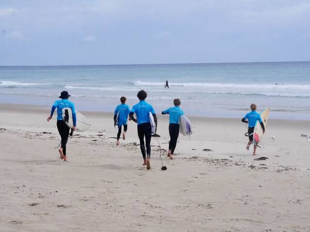 Auckland, Business, Common Surfing Mistakes Beginners Should Avoid