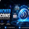 Build RWA Backed Stablecoins With A Stablecoin Development Company