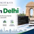 Professional Chartered Accountant For Delhi Clients