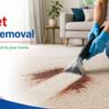 Carpet Stain Removal Carina For Cleaner Carpets