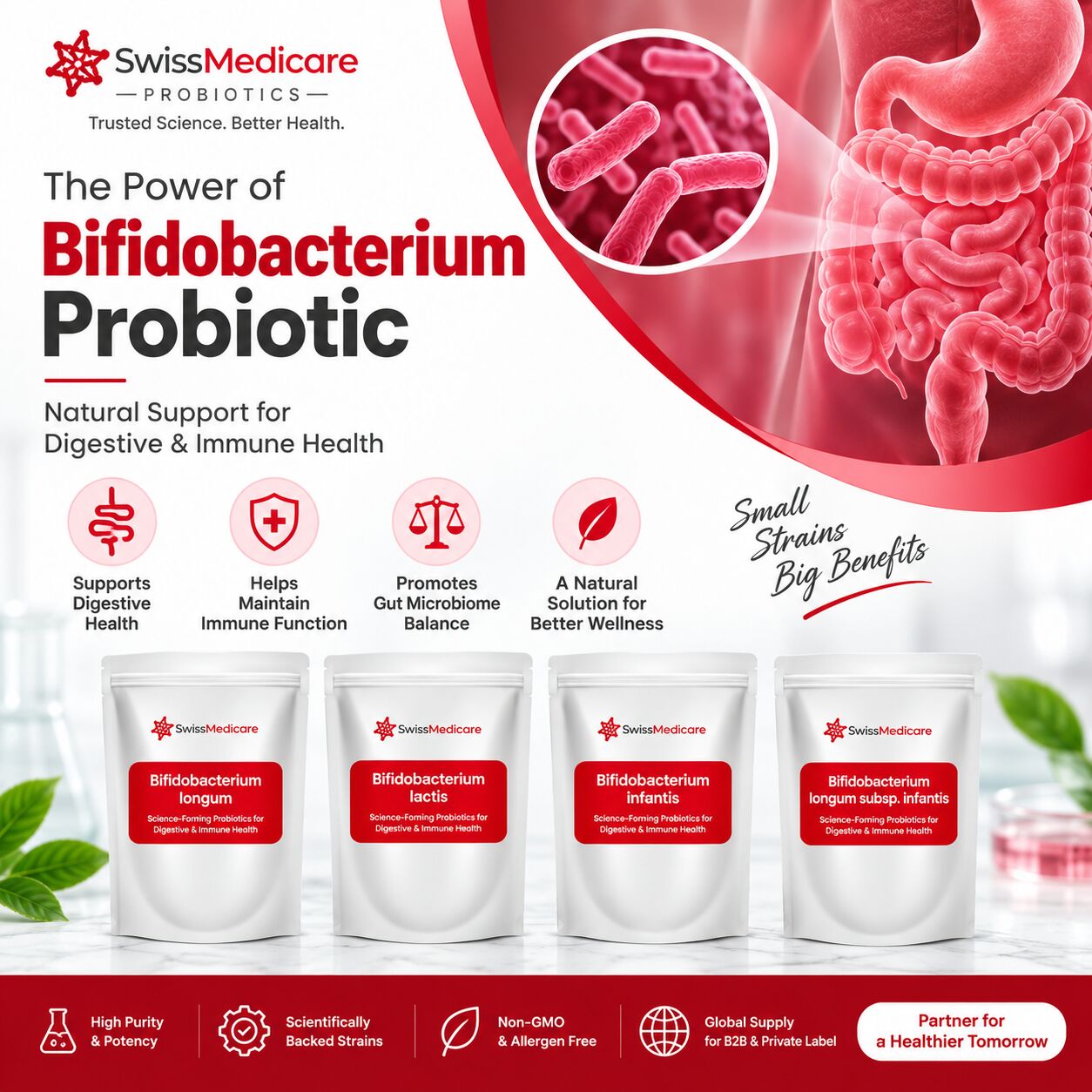 London, Health & Beauty Items, Gut Health Needs Support? Explore Bifidobacterium Probiotic &ndash; Enquire Today