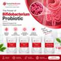 Gut Health Needs Support? Explore Bifidobacterium Probiotic &ndash; Enquire Today