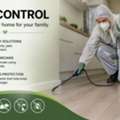 Pest Control Franklin For Practical Pest Management