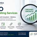 INR 100,  SEO Consulting Services | Organic Growth Consultant &ndash; Bizklinics