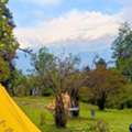 Dayara Bugyal Trek Package By Himalayan Dream Treks