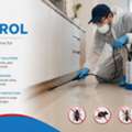 Pest Control St Albans &ndash; Practical Help For Pest Concerns