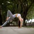 Top-Rated Yoga Classes Mohali &ndash; Tiger Warriors Academy