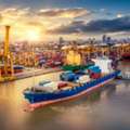 Sea Freight Services Dubai | Figure Shipping