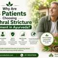 Why Are American Patients Choosing Urethral Stricture Treatment In Ayurveda?