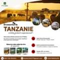 Safari En Tanzanie Sur Mesure Avec Guides Francophones | KT Safaris