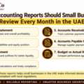 VAT And Corporate Tax Consultancy In Dubai For UAE Businesses
