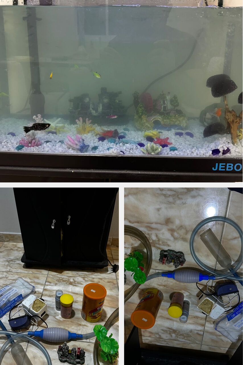 Riyadh, Household Items, SAR 450,  Fish Aquarium