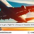 How To Get A Flight For A Group On Hawaiian Airlines?