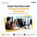 Professional Amazon Advertising Management Services