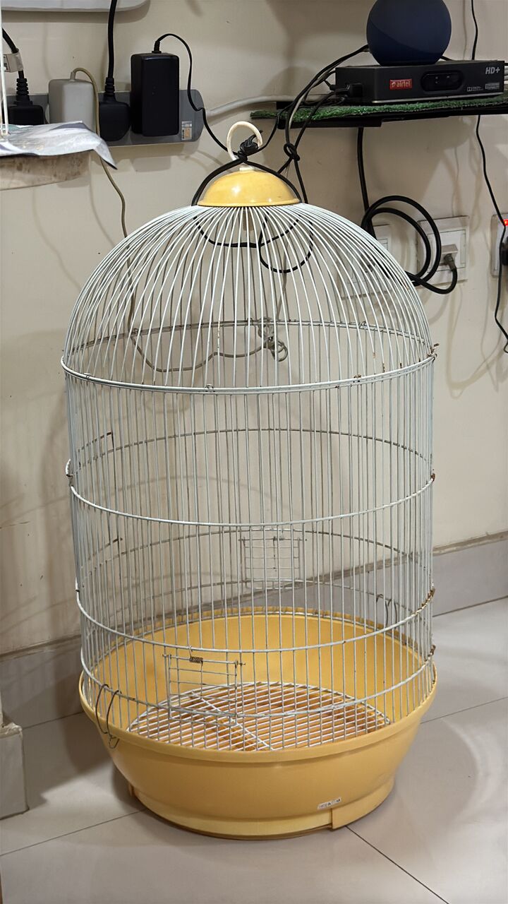 Jubail, Pet Supplies, SAR 900,  4 Pair Of Lovely Birds + 3 Cages + Accessories + Breading Box (0561870120)