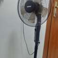 SAR 100,  Fan 16 Inch  Geepas