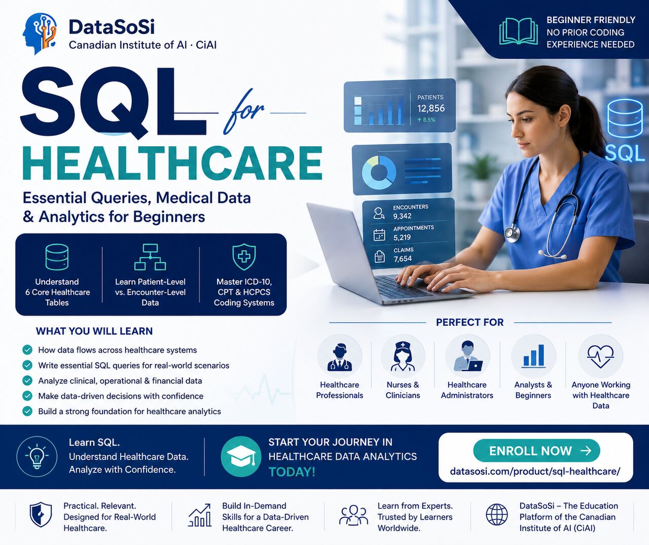 Toronto, Lessons Offered, Learn SQL For Healthcare &mdash; Turn Healthcare Data Into Meaningful Insights