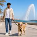 Dog Walking Service In Jeddah