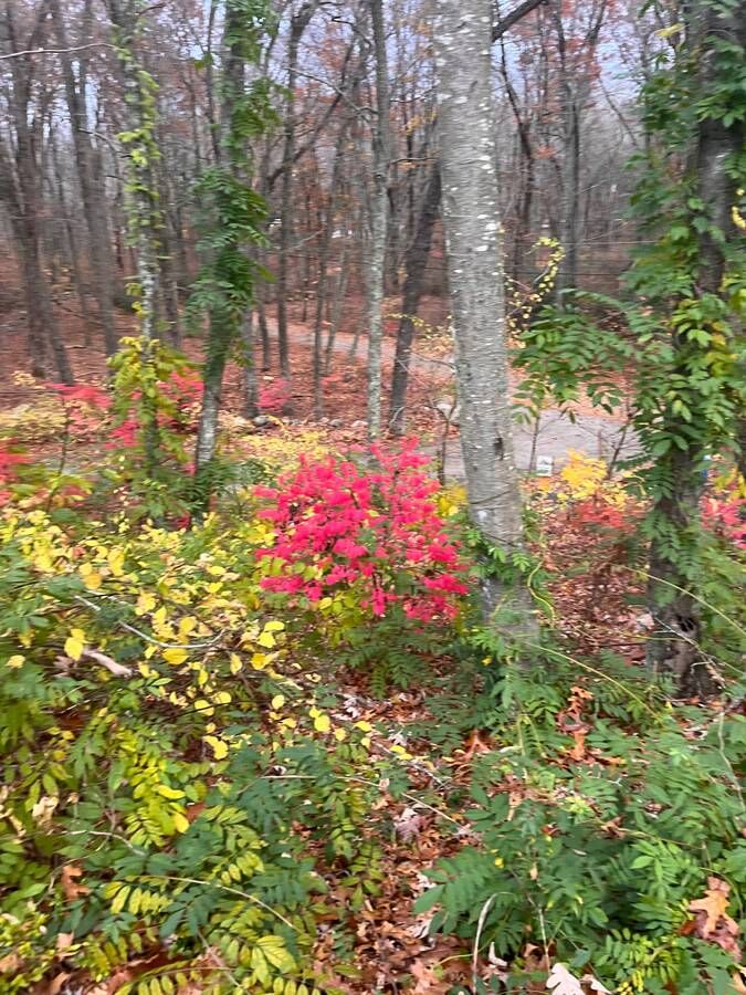 New York, Real Estate For Sale, USD 810000,  4 BR,  2200 Sq. Feet,  Rare Private 3.8-Acre Retreat With In-Ground Pool &mdash; FSBO