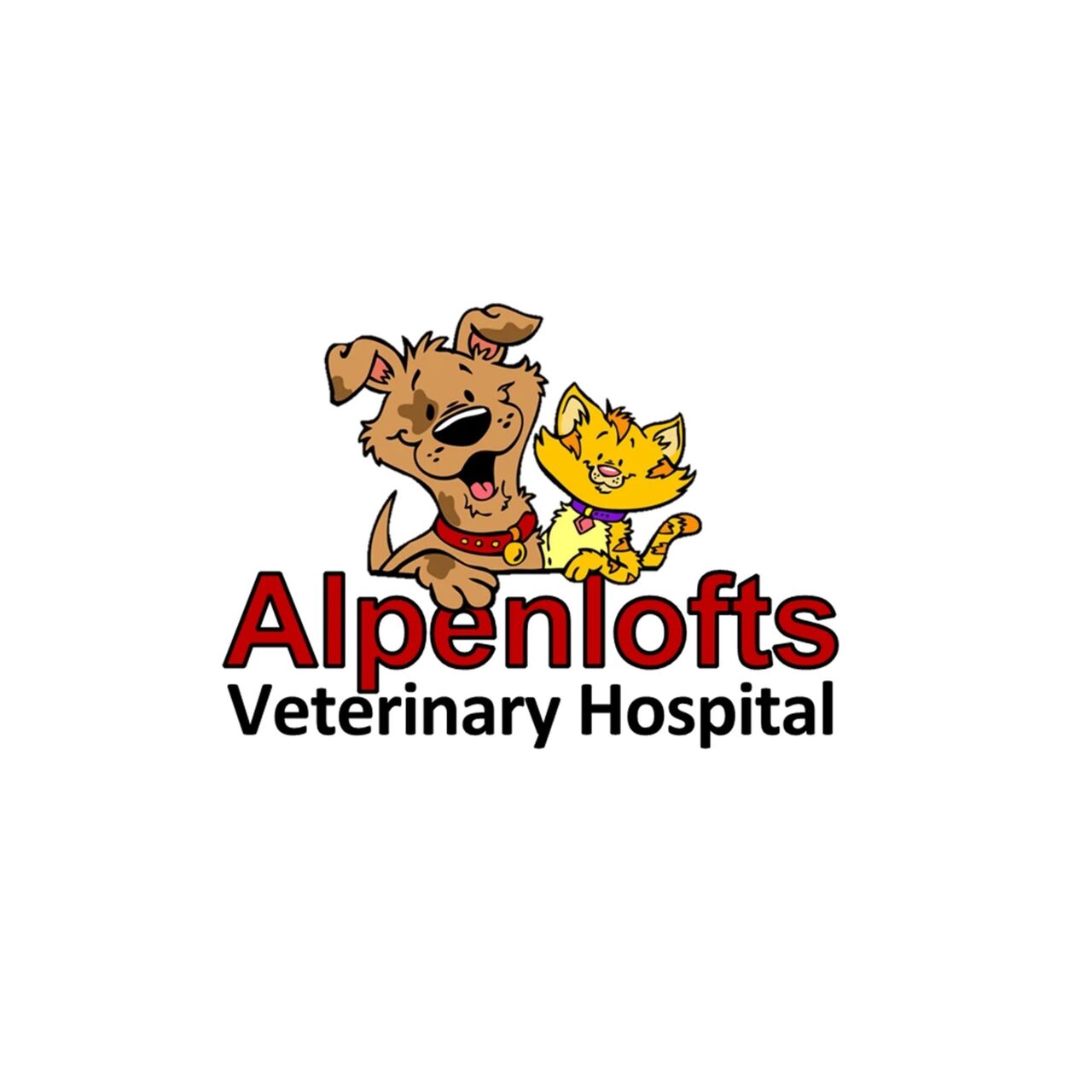 Toronto, Medical, Dental Cleaning Dog Near Me