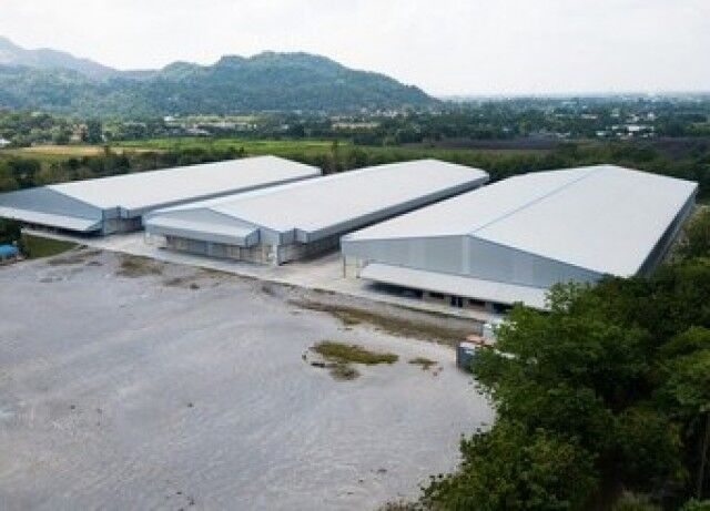 Bangkok, Villas, THB 288000,  1800 Sq. Feet,  ให้เช่าโกดัง พื้นที่สีเหลือง มีลาน