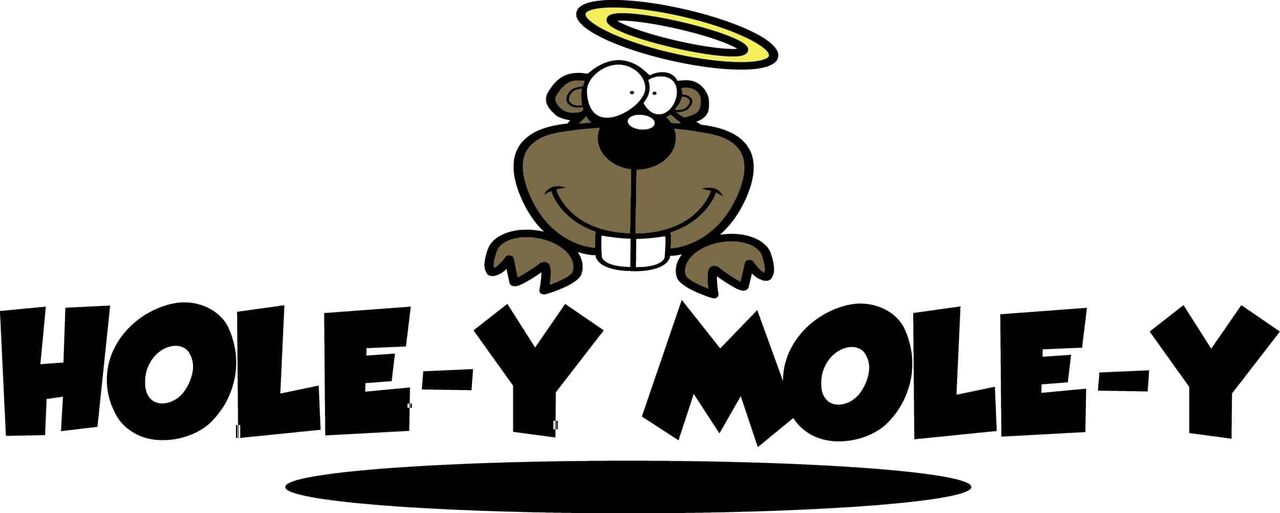 New York, Business, Hole-y Mole-y