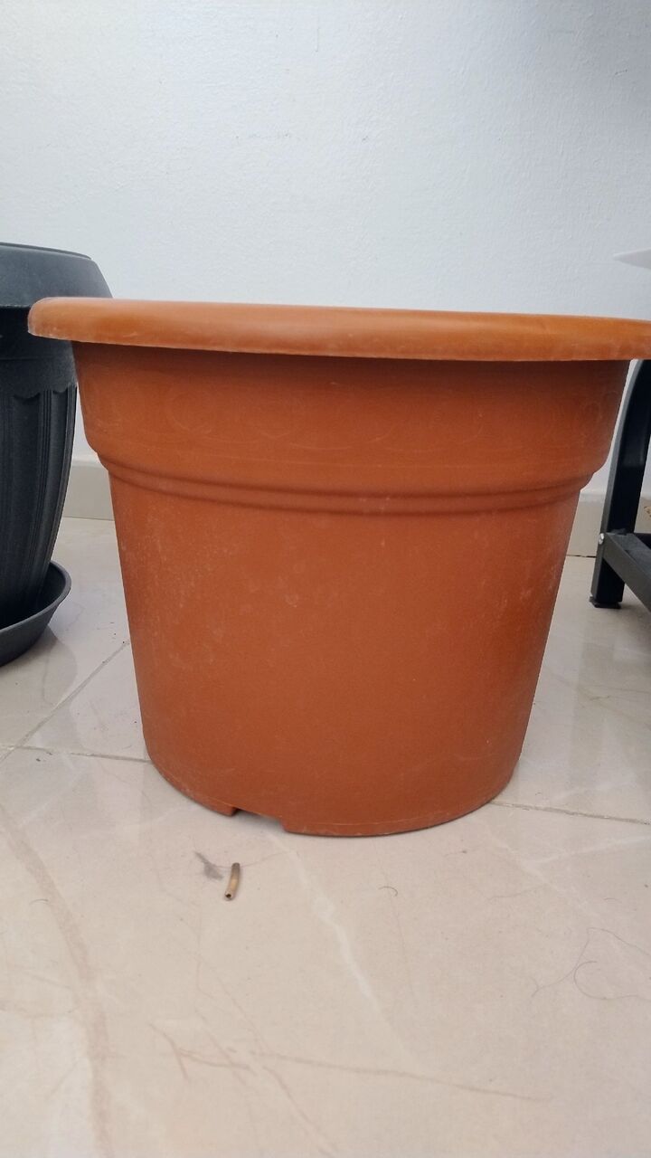 Olaya, Household Items, SAR 10,  Plant Pots
