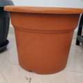 SAR 10,  Plant Pots
