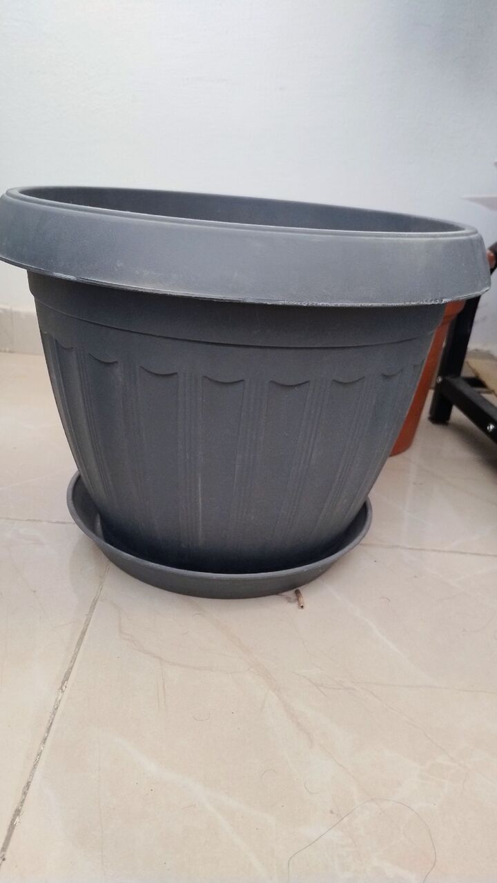 Olaya, Household Items, SAR 10,  Plant Pots