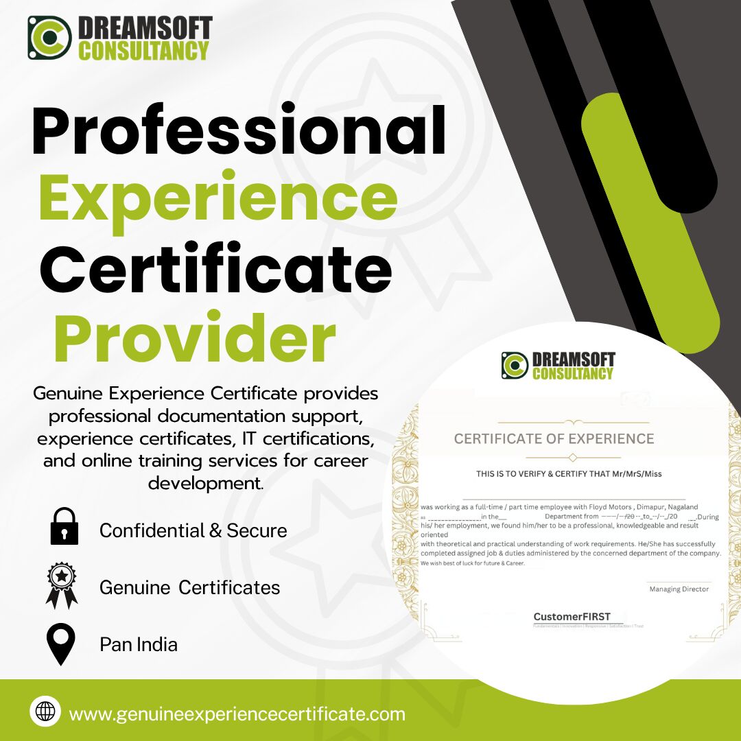 New Delhi, Business, Professional Experience Certificate Provider In Delhi