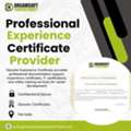 Professional Experience Certificate Provider In Delhi