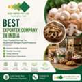 Best Exporter Company In India &ndash; Glee Impex For Quality Mushrooms & Food Products