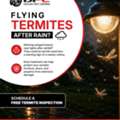 Deccan Pest Control - Termite Pest Control In Hyderabad