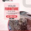 Termite Pest Control - Deccan Pest Control
