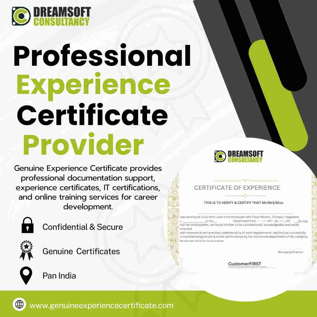 Hyderabad, Business, Professional Experience Certificate Provider In Hyderabad