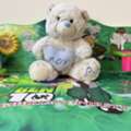 BHD 2,  Teddy Bear
