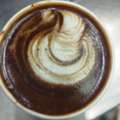Barista