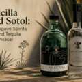 Raicilla And Sotol: The Agave Spirits Beyond Tequila And Mezcal