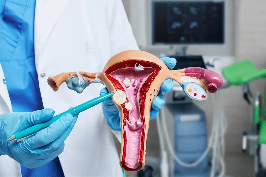 New Delhi, Health, Gynaecologist In South Delhi | Expert Pregnancy & Women&rsquo;s Care