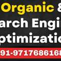 Best SEO Service In India For Higher Rankings & Business Growth