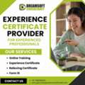 Experience Certificate Services In Mumbai For Job Seekers