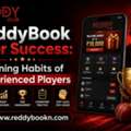 ReddyBook User Success: Winning Habits Of Experienced Players