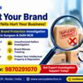 IPR & Brand Protection Detective In Gurgaon