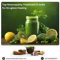 Top Naturopathy Treatment In India For Drugless Healing