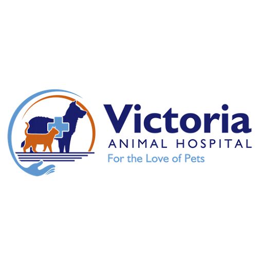 New York, Health, Victoria Animal Hospital