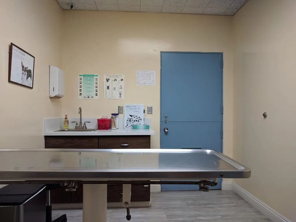 New York, Health, Victoria Animal Hospital