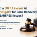Need A DRT Lawyer In Chandigarh For Bank Recovery And SARFAESI Issues?